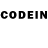 Галлюциногенные грибы Psilocybine cubensis RustClubHacker